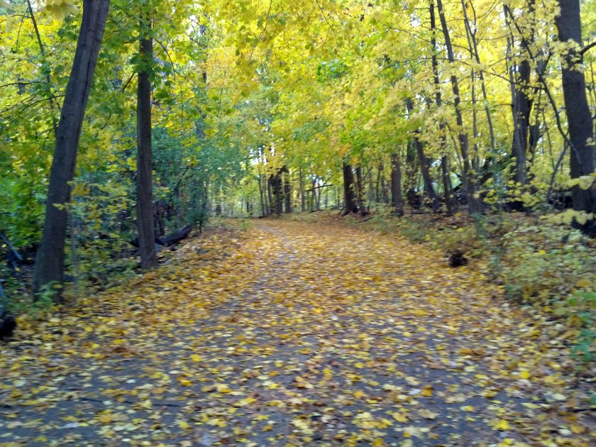 2012-10-18_16-17-55_63